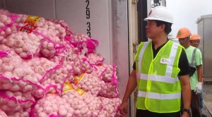 60000 kg of smuggled garlic seized in Batangas