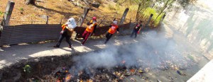 (DENR) has cautioned individuals not to start fire in any National Greening Program (NGP) areas