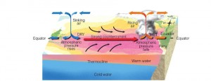 El Nino condition